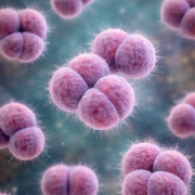 ChatGPT Image 20. Jan. 2026, 15_40_09