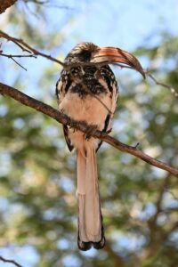 pexels-linus-kersting-94105512-31404795